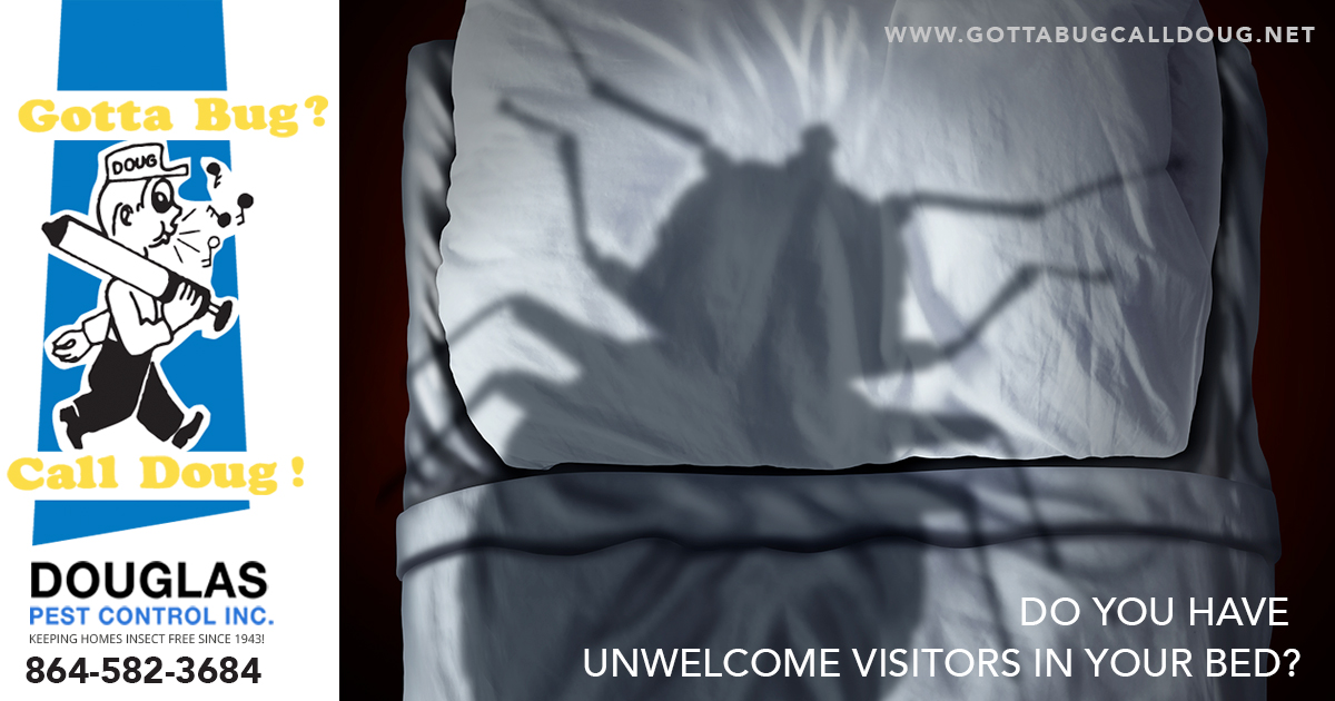 Unwelcome Visitors In Your Bed?