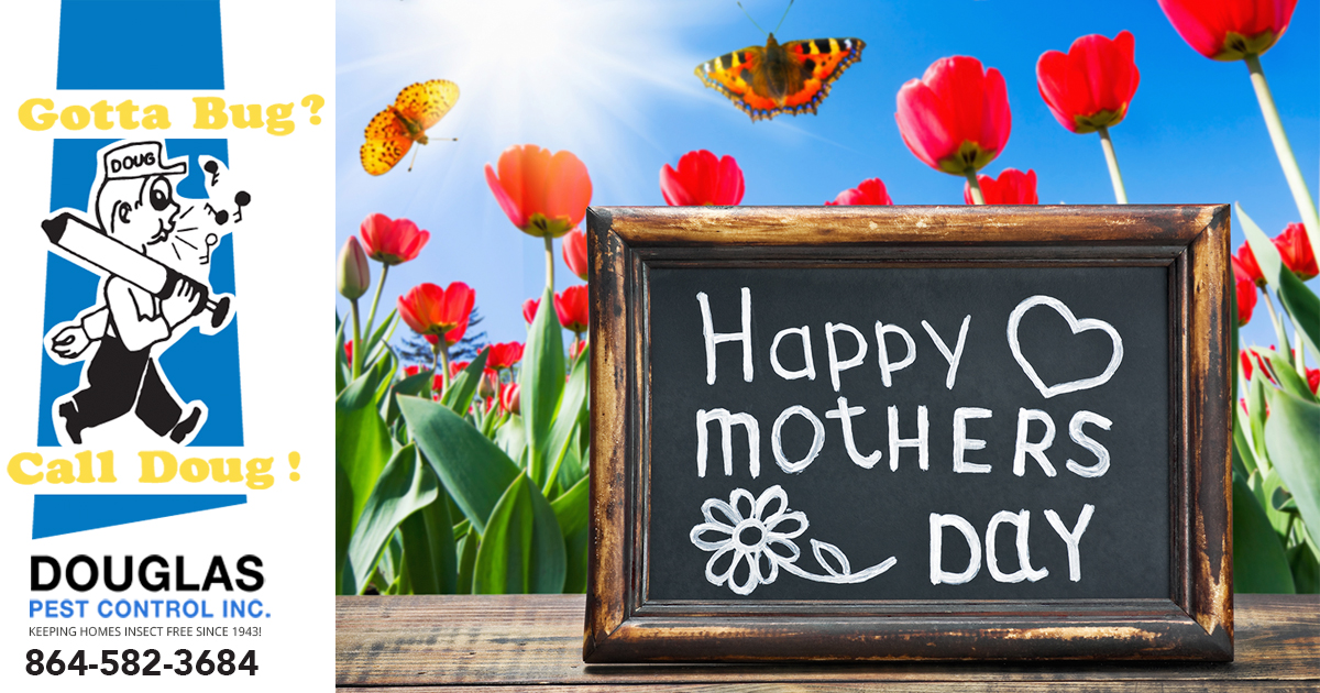 Eight Ways To Make Mom Feel Extra Special This Mother’s Day