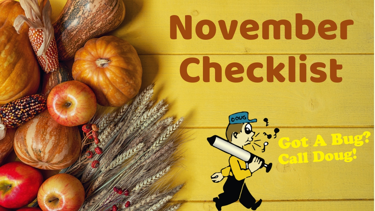 November Home Checklist!