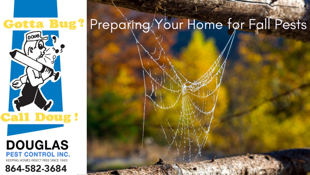 Preparing Your Home For Fall Pests