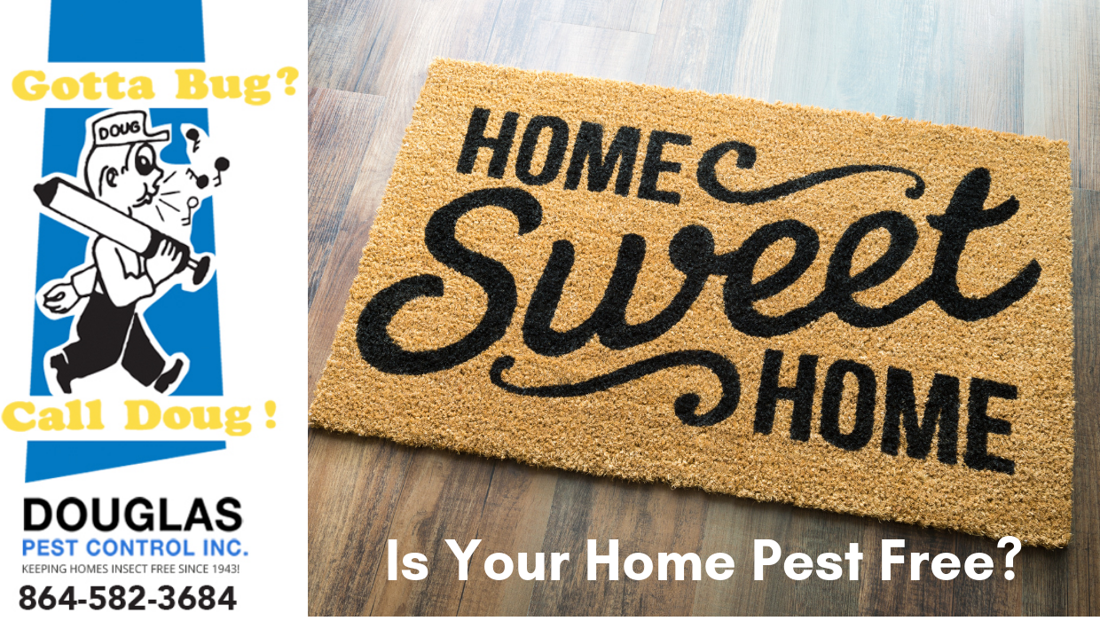 Is Your Home Pest Free? Contact Your Spartanburg Exterminator