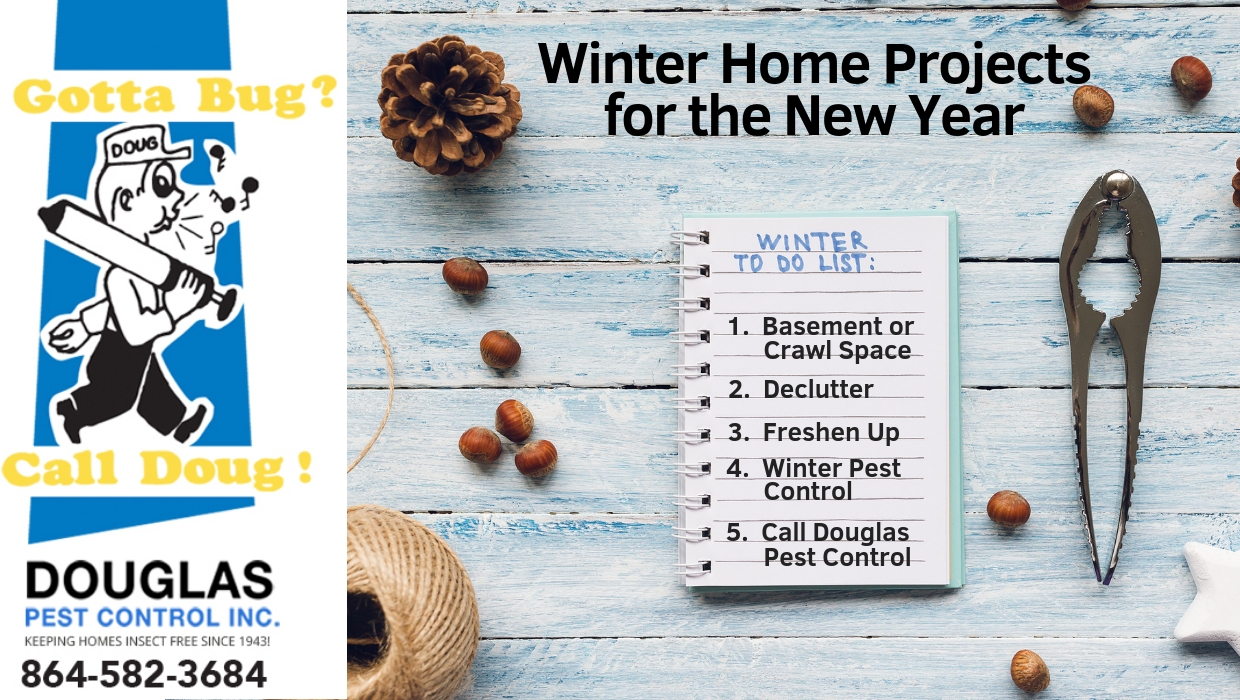 Winter Home Projects for the New Year