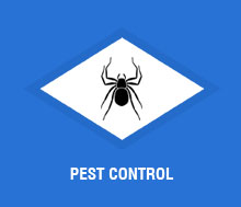 Pest Control