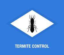 Termite Control